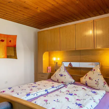 1 Appartement Spiegelau
