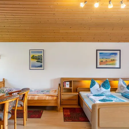 1 Appartement Spiegelau