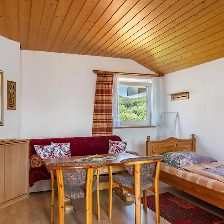 1 Appartement Spiegelau